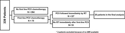 Initial PCV Chemotherapy Followed by Radiotherapy Is Associated With a Prolonged Response But Late Neurotoxicity in 20 Diffuse Low-Grade Glioma Patients